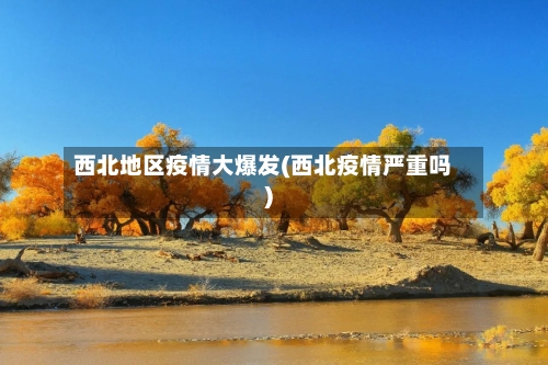 西北地区疫情大爆发(西北疫情严重吗)