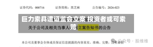 巨力索具遭证监会立案 投资者或可索赔