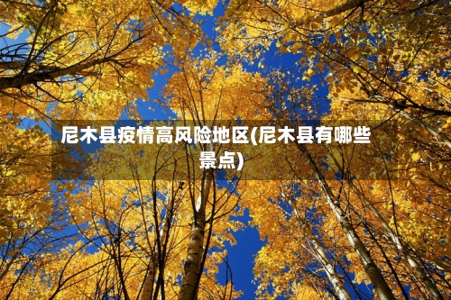 尼木县疫情高风险地区(尼木县有哪些景点)-第2张图片