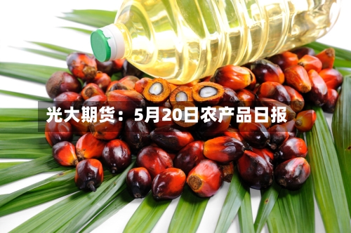 光大期货：5月20日农产品日报-第2张图片