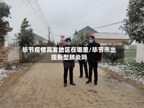 毕节疫情高发地区在哪里/毕节市出现新型肺炎吗-第2张图片