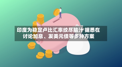 印度为稳定卢比汇率绞尽脑汁 据悉在讨论加息、发美元债等多种方案-第2张图片