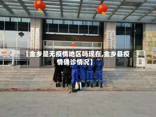 【金乡是无疫情地区吗现在,金乡县疫情确诊情况】