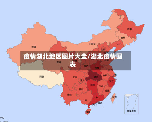 疫情湖北地区图片大全/湖北疫情图表-第2张图片