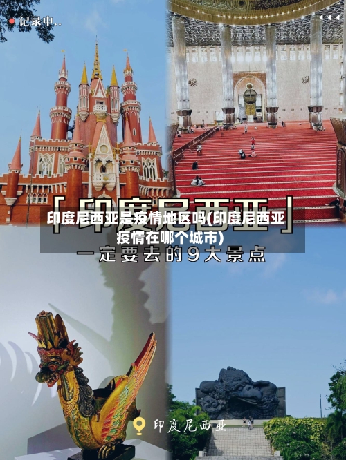 印度尼西亚是疫情地区吗(印度尼西亚疫情在哪个城市)