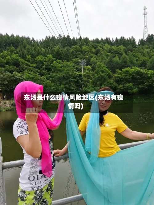 东汤是什么疫情风险地区(东汤有疫情吗)-第3张图片