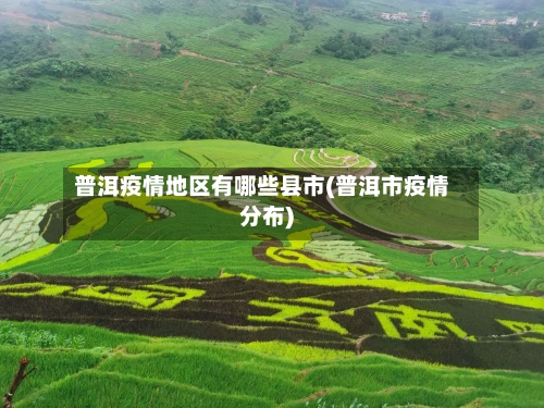 普洱疫情地区有哪些县市(普洱市疫情分布)