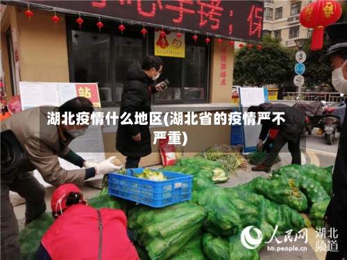 湖北疫情什么地区(湖北省的疫情严不严重)