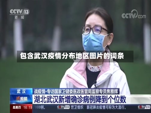 包含武汉疫情分布地区图片的词条-第3张图片