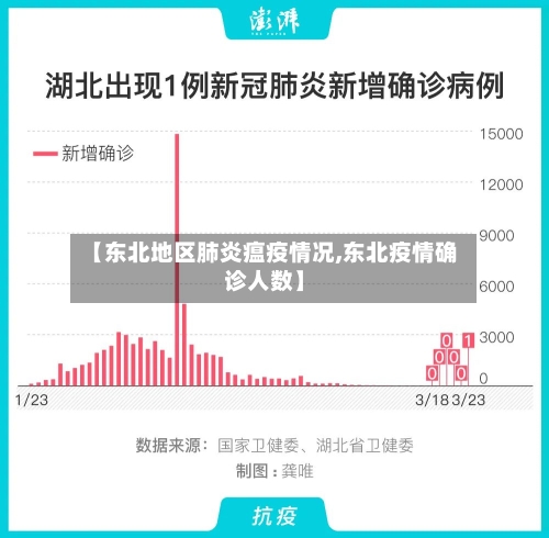 【东北地区肺炎瘟疫情况,东北疫情确诊人数】