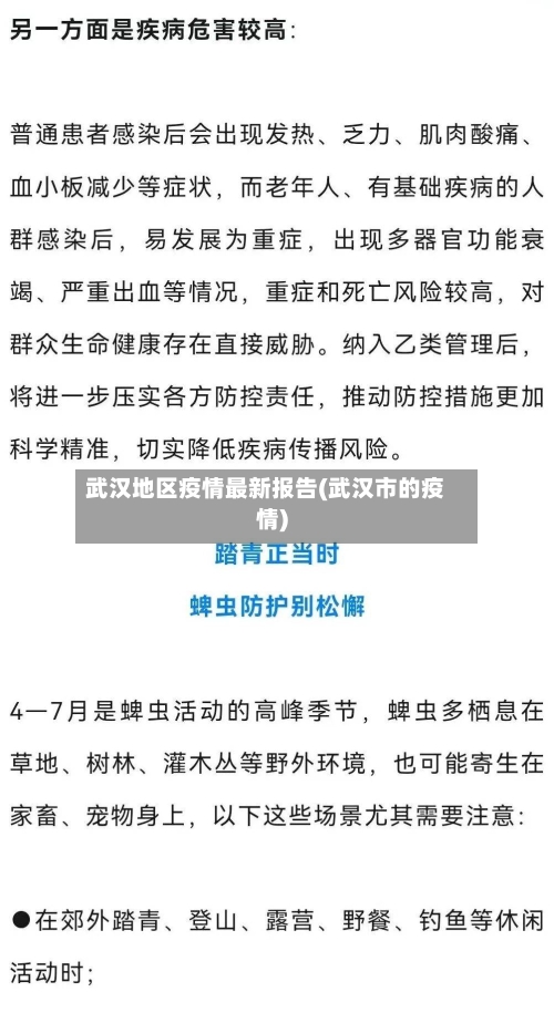 武汉地区疫情最新报告(武汉市的疫情)-第2张图片