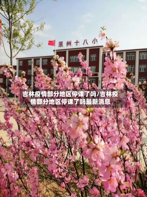吉林疫情部分地区停课了吗/吉林疫情部分地区停课了吗最新消息-第2张图片