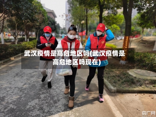 武汉疫情是高危地区吗(武汉疫情是高危地区吗现在)-第2张图片
