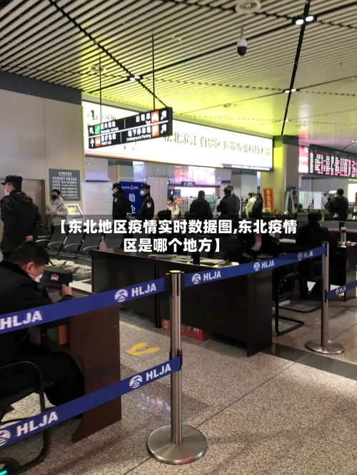 【东北地区疫情实时数据图,东北疫情区是哪个地方】-第3张图片