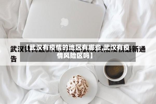 【武汉有疫情的地区有哪些,武汉有疫情风险区吗】