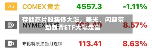 存储芯片股集体大涨，美光、闪迪带动新晋ETF大幅走高-第3张图片