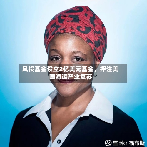 风投基金设立2亿美元基金，押注美国海运产业复苏-第2张图片