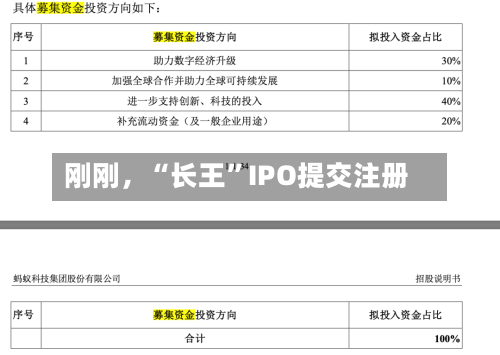 刚刚，“长王”IPO提交注册
